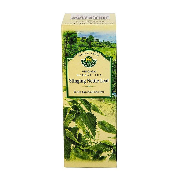 Herbaria | Stinging Nettle Tea