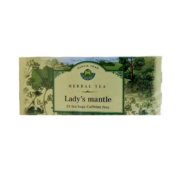 Herbaria | Lady's Mantle Tea