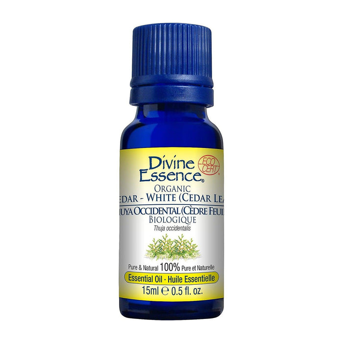 Divine Essence | Organic White Cedar Essential Oil
