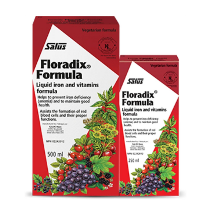 Salus | Floradix Liquid Iron Bonus Pack 500ml+200ml