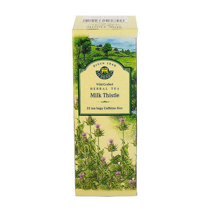 Herbaria | Milk Thistle Tea