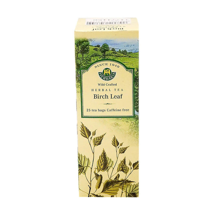Herbaria | Birch Leaf Tea