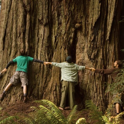 Why Gratitude Matters: Improving Your Quality of Life