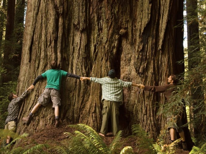 Why Gratitude Matters: Improving Your Quality of Life