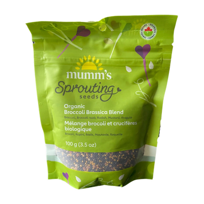 Mumm's Sprouting Seeds | Organic Broccoli